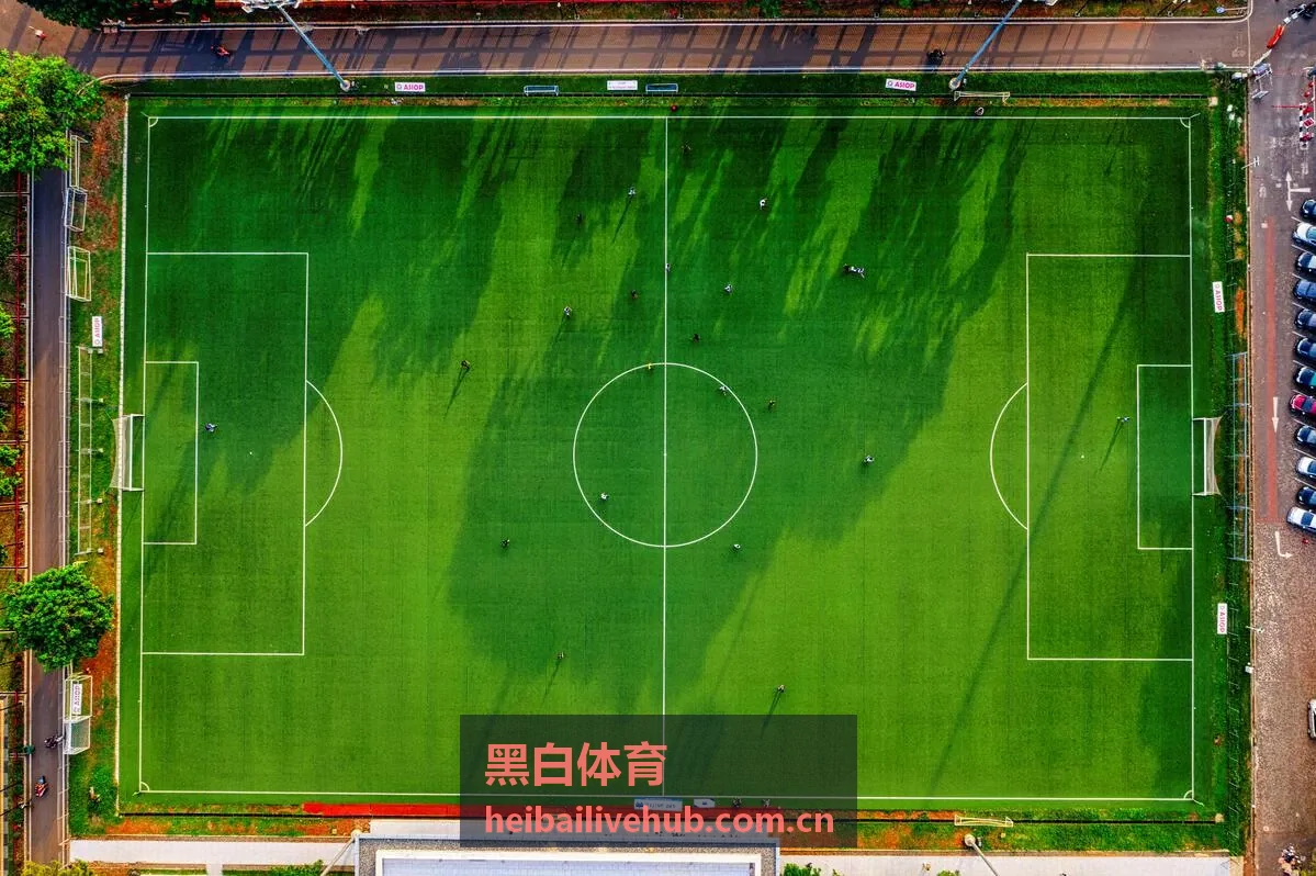 黑白体育装备测评中的室内训练综合运动鞋